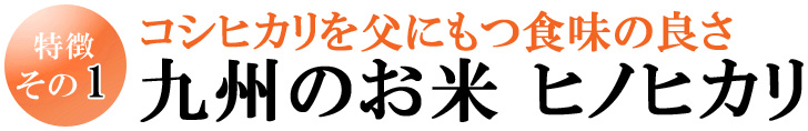 特徴1　コシヒカリを父にもつ食味の良さ九州のお米 ヒノヒカリ